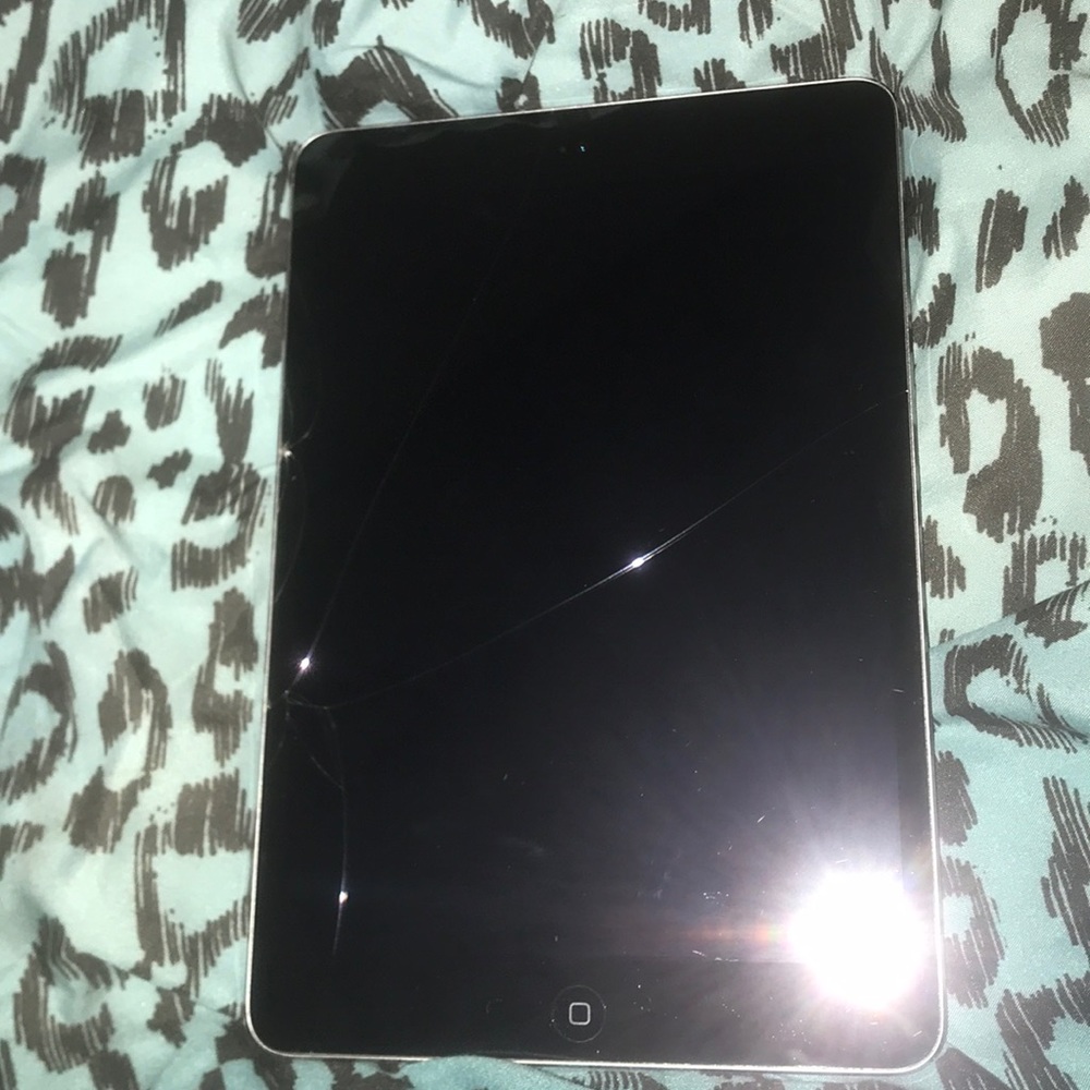 iPad mini 2